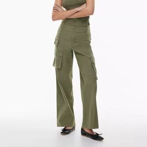 Aritzia | Picture Cargo Pant